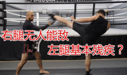 自由搏击视频教学,从实战视频解析自由搏击技巧与策略